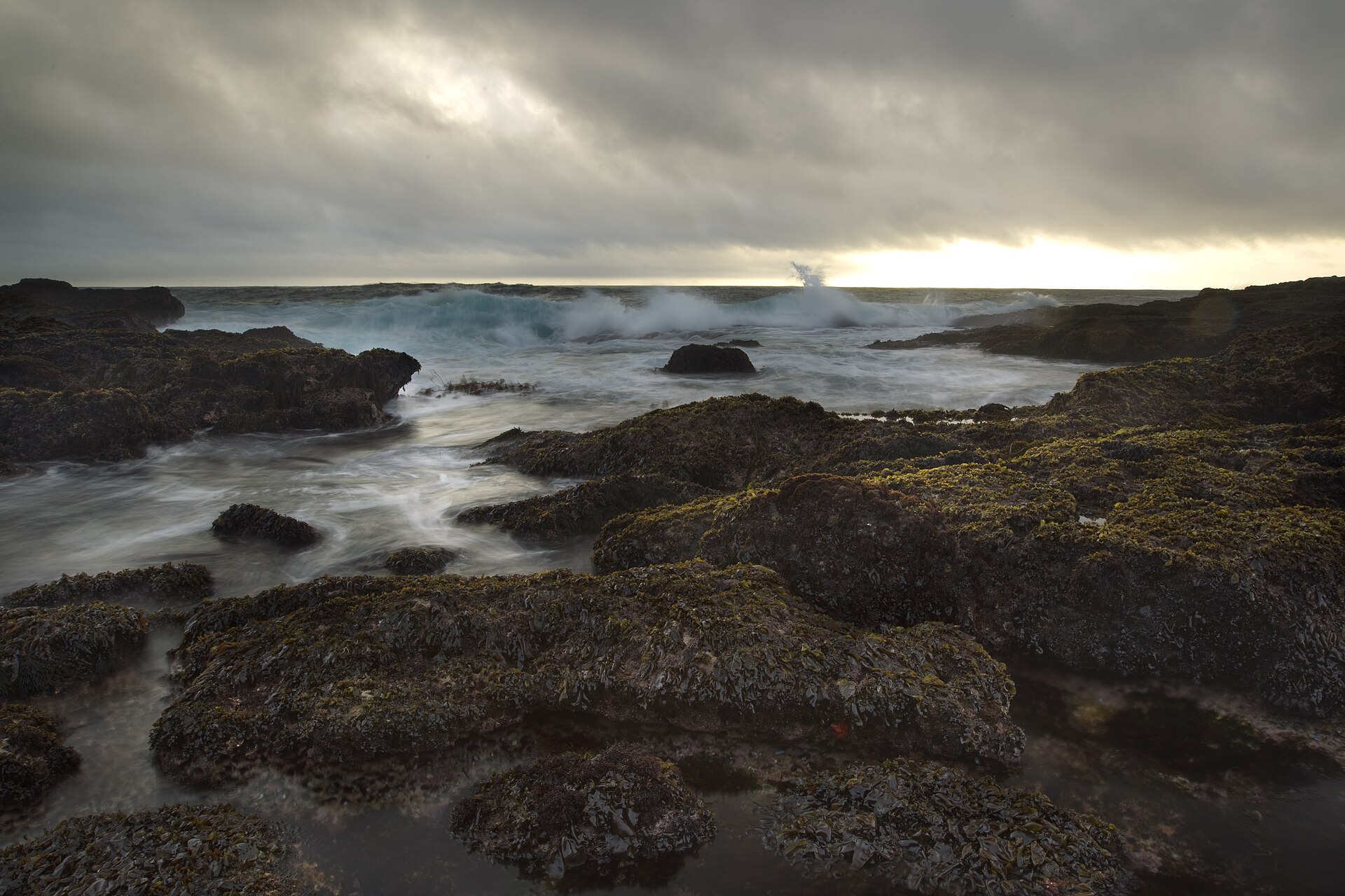 By the Numbers: What the Data Actually Tells Us About Life on the Central Coast Right Now