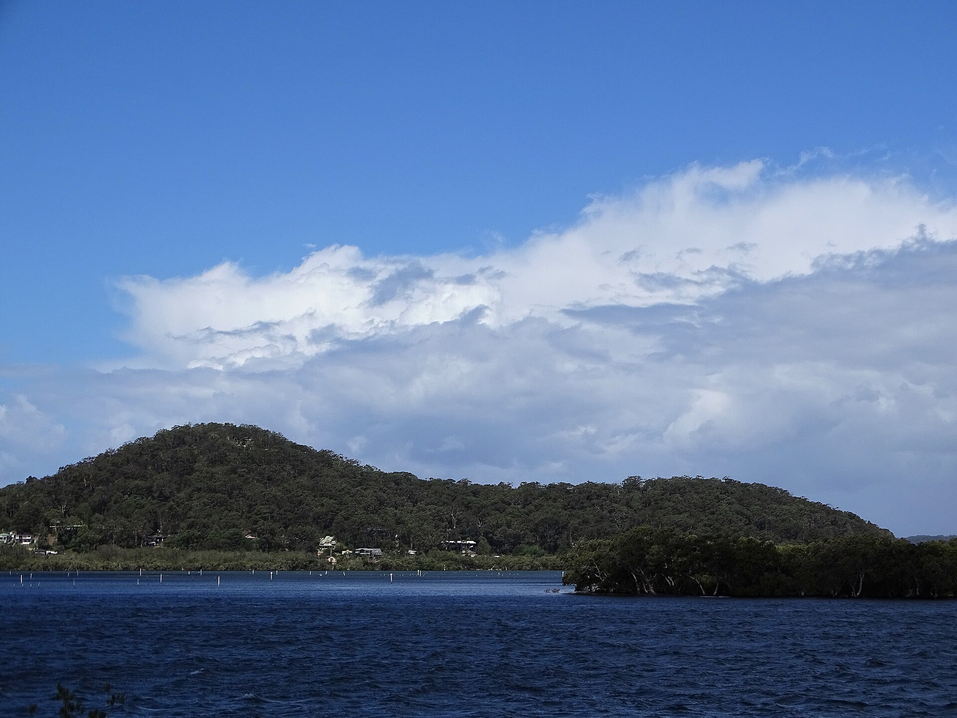 Understanding the Local Economy: Why It Matters for Central Coast Residents and Community Impact