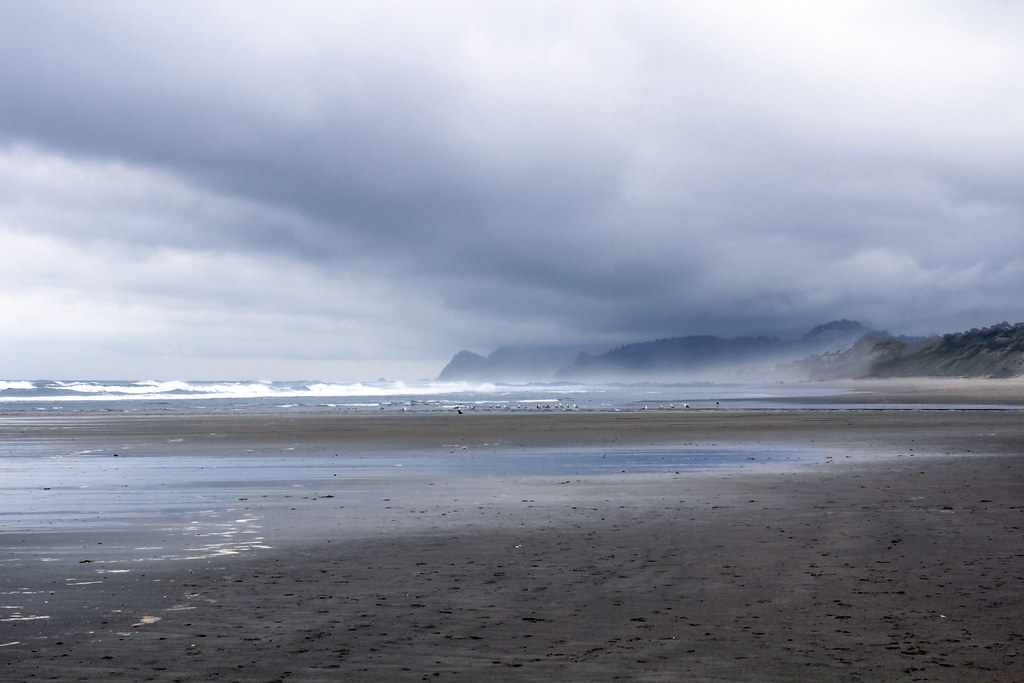 Understanding Central Coast’s Small Business Landscape: What Consumers Need to Know