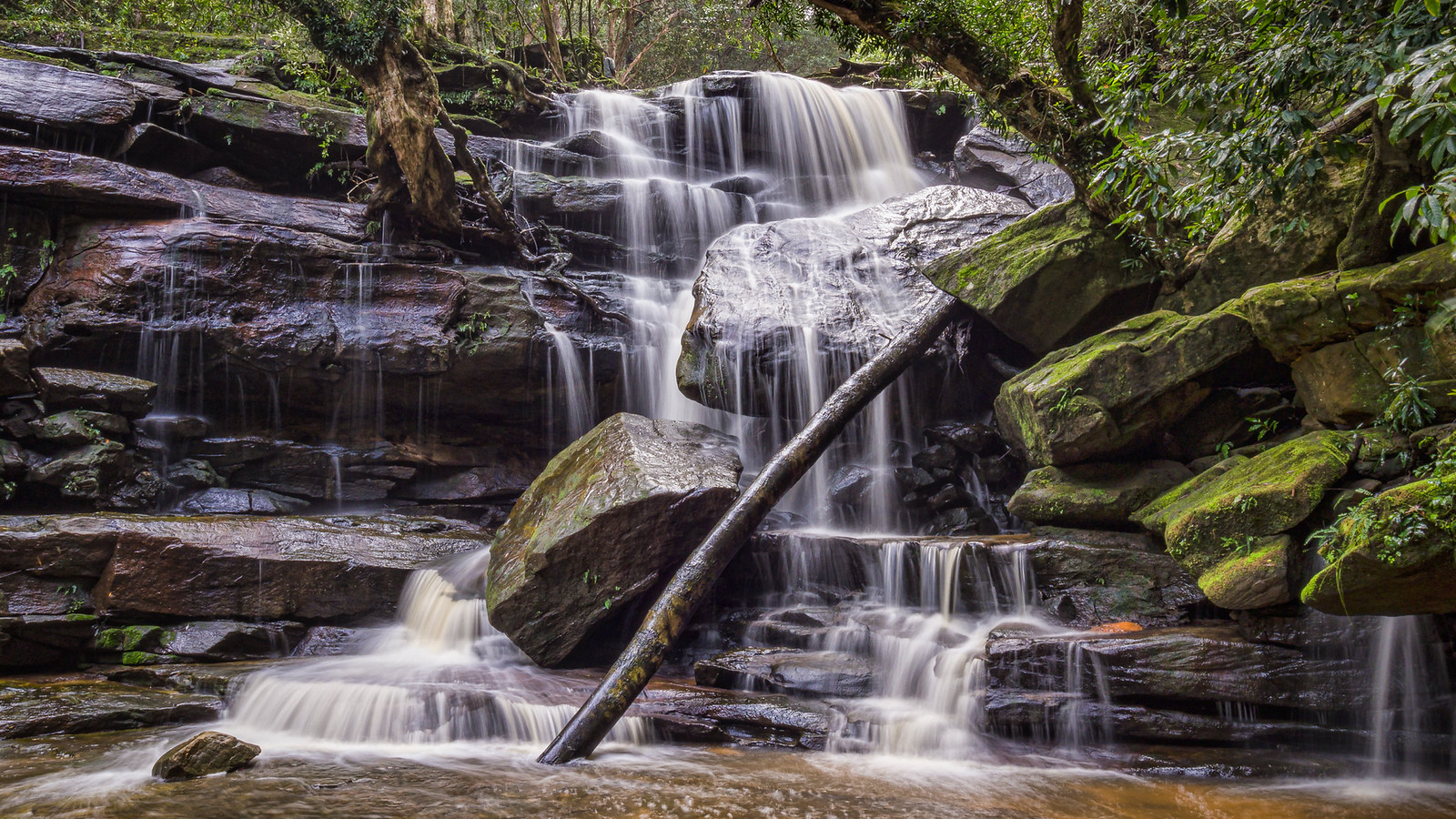 A complete guide to the best local experiences right now