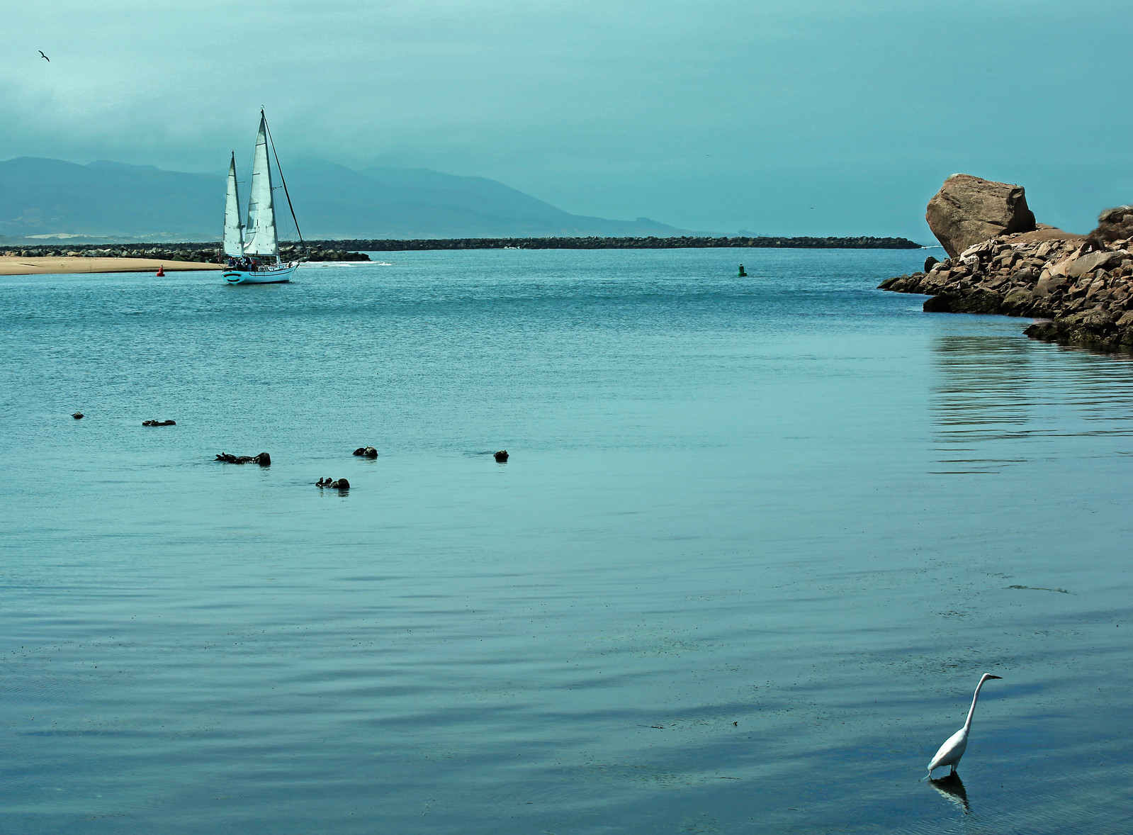 What Sets Central Coast Apart: Uncovering the City's Unique Charm