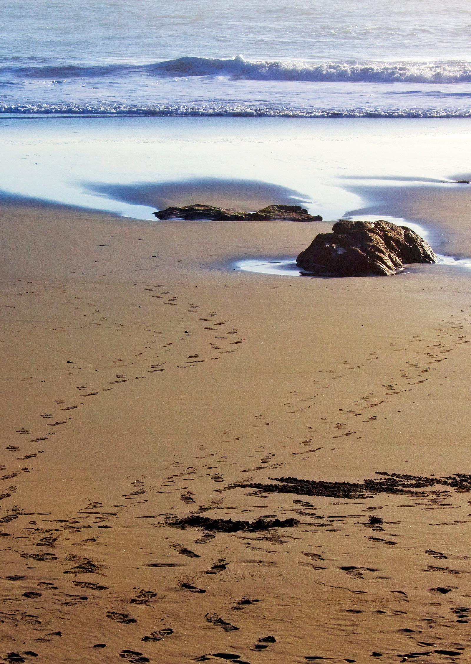 Central Coast Parks Transform Into Wellness Destinations for Local Residents