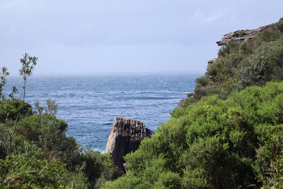 Emergency Services Numbers Reveal Ongoing Challenges for Central Coast Region