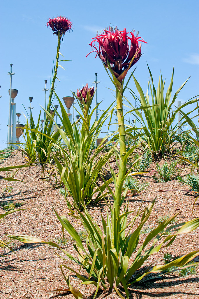 Central Coast neighborhood developments: The data, statistics and numbers behind the story