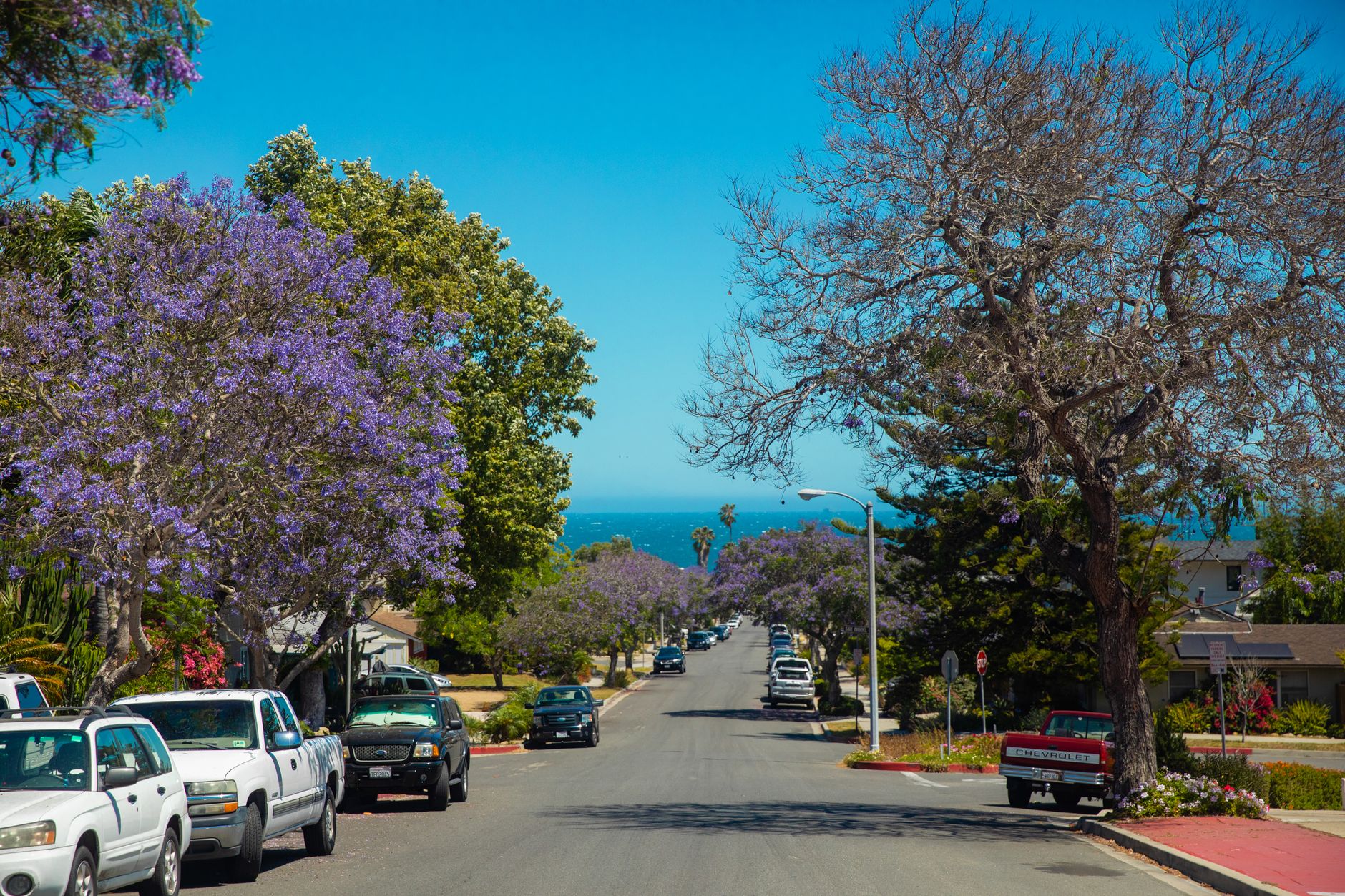 Removalists and Moving Companies on the Central Coast 2026, How to Choose a Removalist and What to Expect
