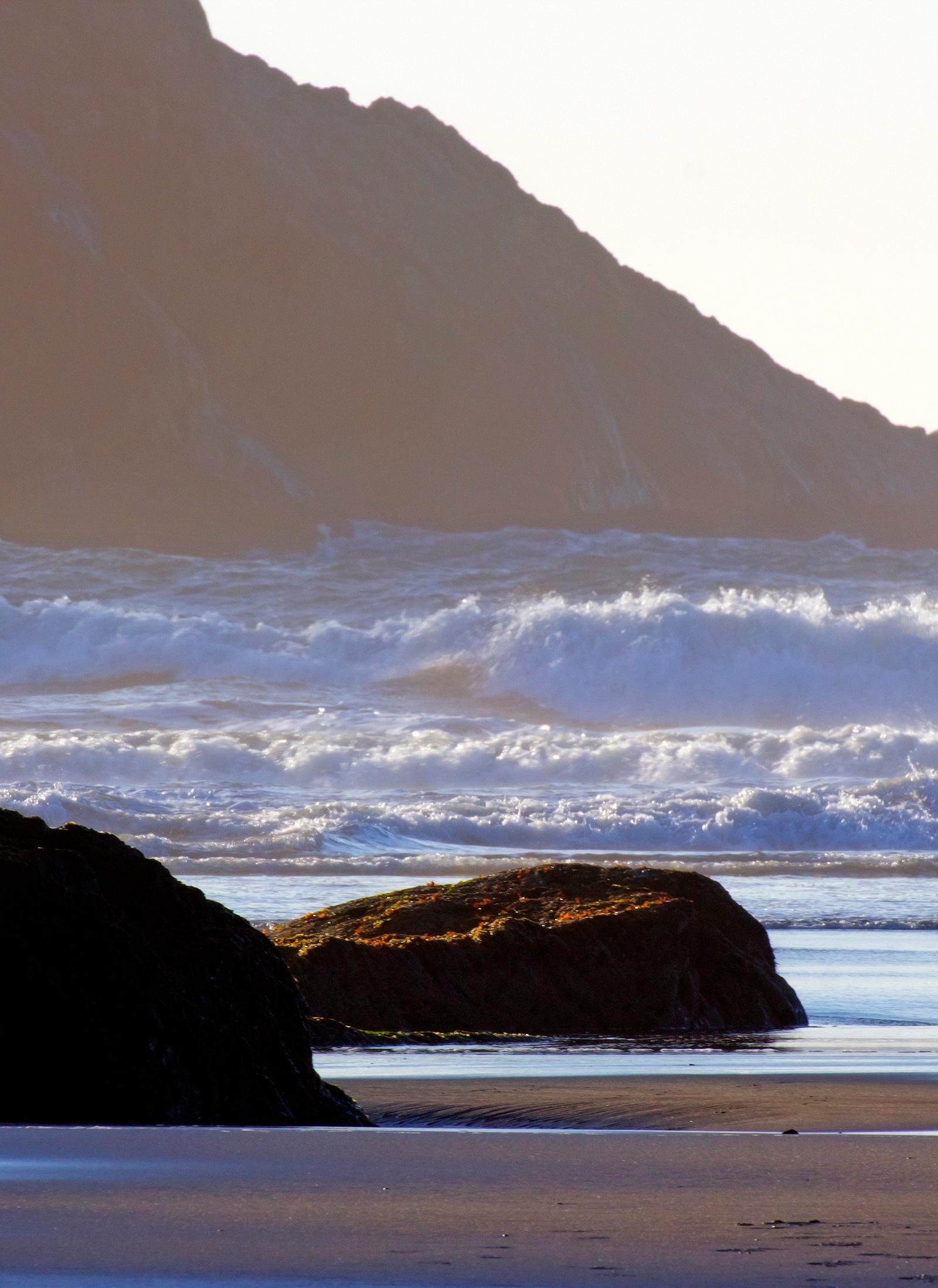 Central Coast Offers Coastal Walks, Wildlife, Historic Towns Within Hour Sydney