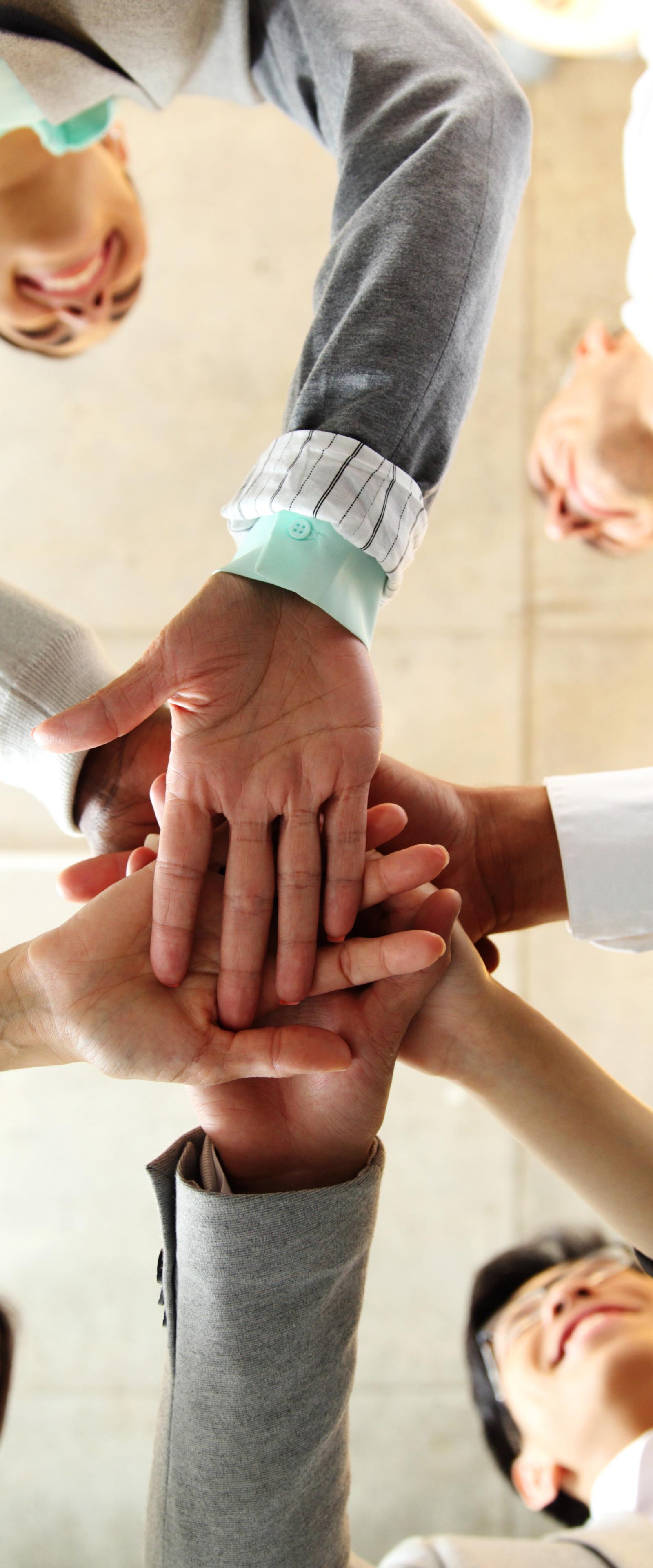 New Business Openings on the Central Coast Highlight Local Investment Patterns
